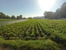 Guía para la inscripción oficial de fertilizantes y enmiendas de producción familiar y cooperativa