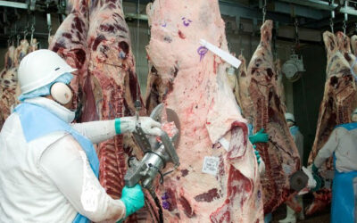 Exportaciones de carne vacuna de diciembre