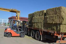 Se certificó en San Luis la exportación de 495 toneladas de alfalfa con destino a Arabia Saudita