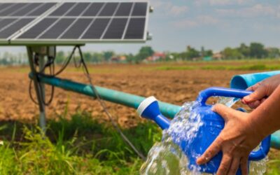 Bomba sumergible solar: una alternativa para aprovechar la energía solar en el riego agrícola