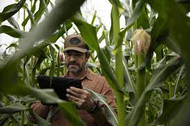 El papel de las nuevas tecnologías en la revolución agrícola
