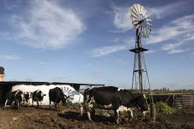 Federación Agraria Argentina: «No estamos ante una política pensada para tener más ganadería»