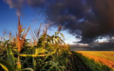 El Agro enfrenta un desafío ineludible e inminente: Descarbonizarse