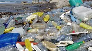 Alerta plástico: más del 70% de los residuos censados en las playas bonaerenses continúan siendo plásticos.