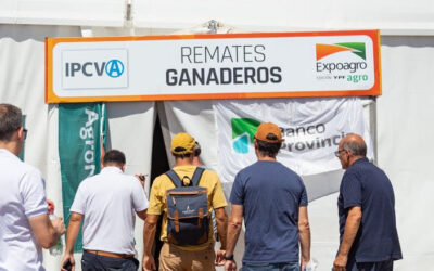 La carne argentina mostró toda su potencialidad en Expoagro 2023