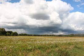 Prevén ascenso térmico, con lluvias sobre el nordeste del área agrícola