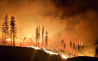 En Mendoza el 27 de marzo simposio “Marco actual para la gestión futura de incendios forestales”