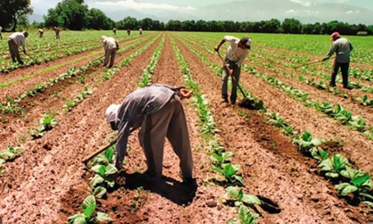 Suben 32% los salarios de peones rurales hasta junio