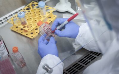 Luis Camera sobre la nueva vacuna contra el dengue: “Es para los cuatro serotipos que circulan en el país”