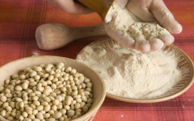 Se recuperan las exportaciones de harina de soja de Argentina