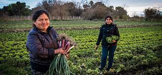 Nuevo informe FAO: La igualdad de las mujeres en los sistemas agroalimentarios podría acabar con la inseguridad alimentaria de 45 millones de personas