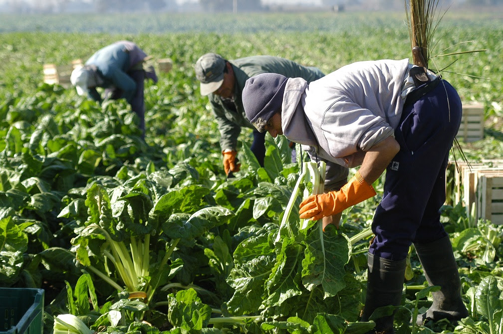 Trabajadores rurales lograron una nueva actualización salarial para marzo y un básico superior a 425 mil más un bono