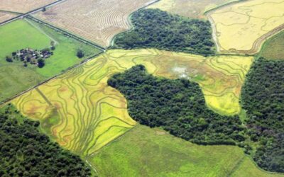 Los suelos de la Argentina almacenan el 2 % de la reserva mundial de carbono