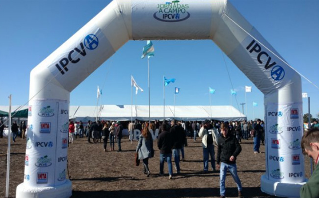 Con destacados especialistas y salidas a campo, se realizará en Jesús María una Jornada del IPCVA
