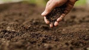 Bonos de carbono: el 50% de los productores locales no tiene conocimiento alguno del tema