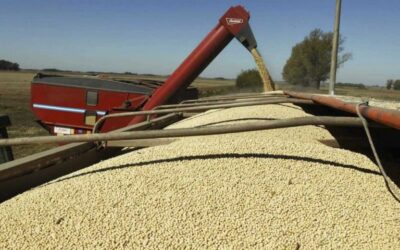 La liquidación de exportaciones de cereales en mayo alcanzó los 4.212 millones de dólares