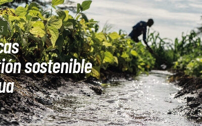 FAO lanza convocatoria sobre buenas prácticas hacia una gestión sostenible de suelos y agua