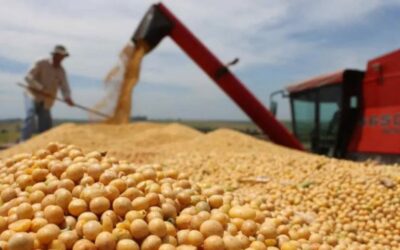 Bolsa de Cereales  Efectos del Programa de Incremento Exportador en la comercialización de soja:
