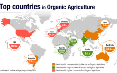 Argentina es el tercer país con mayor superficie sembrada de productos orgánicos