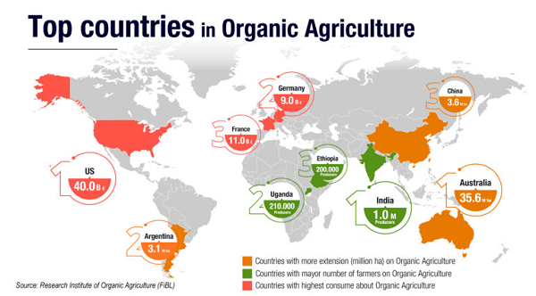 Argentina es el tercer país con mayor superficie sembrada de productos orgánicos