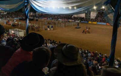 Aparte campero en la Expo Rural, con un abanderado multicampeón