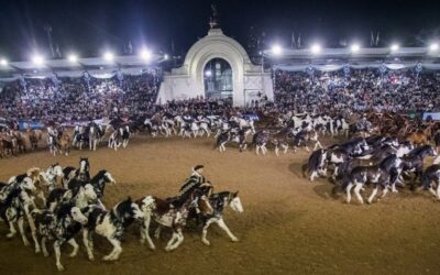 Nuestros Caballos en La Rural actividades hoy 1 de Marzo