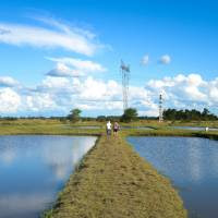 Agricultura y el CONICET impulsan el desarrollo de la acuicultura﻿