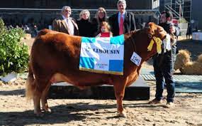 El jurado destacó el aporte de la raza Limousin a la ganadería argentina