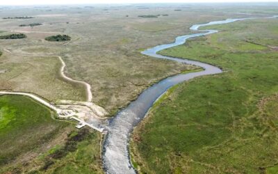 Pautas para un mejor aprovechamiento del agua en superficie