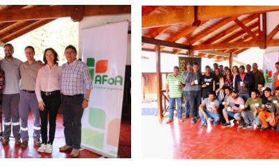 Reconocimiento y mayor empleabilidad para los trabajadores forestales.