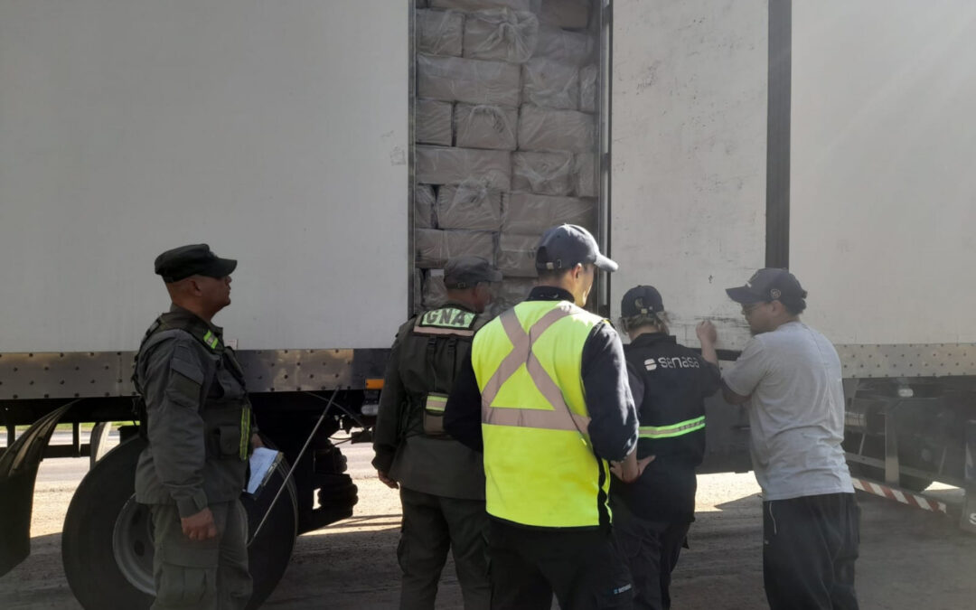 Chaco: Se destruyeron 27 toneladas de pescado con documentación adulterada