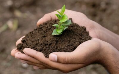 Fertilizar AC en Experiencia IDEA Agroindustria 2023
