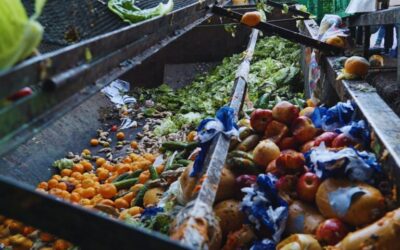 Un proyecto sustentable que reduce el desperdicio de alimentos y reutiliza los residuos