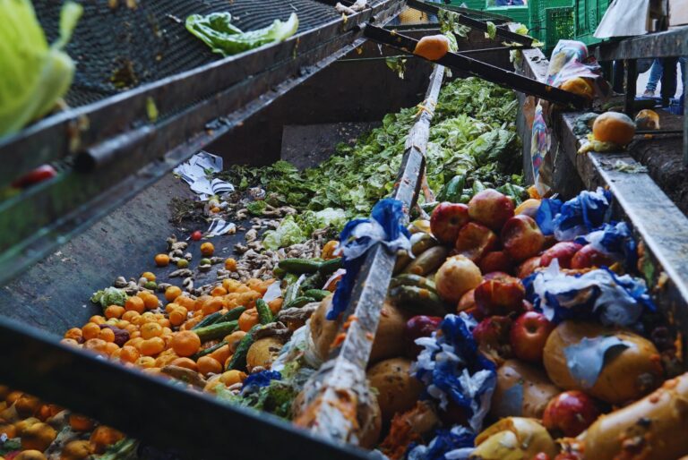 Un proyecto sustentable que reduce el desperdicio de alimentos y reutiliza los residuos