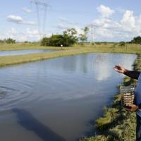 Disponen una nueva reglamentación nacional para el desarrollo de la acuicultura sustentable