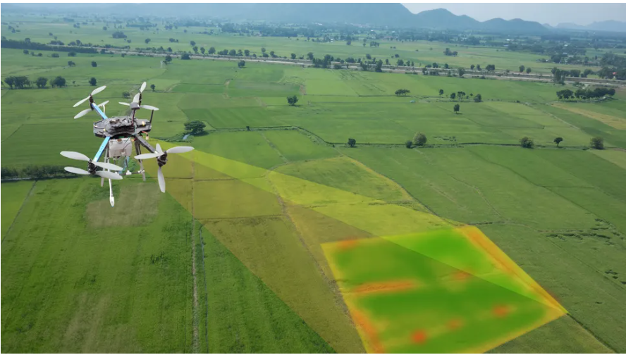 Agricultura de precisión: la transformación de la agricultura ya está en marcha