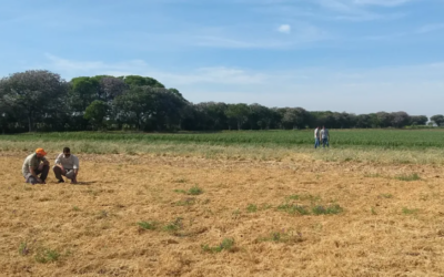 Proyecto Brechas CREA: primeros pasos y desafíos