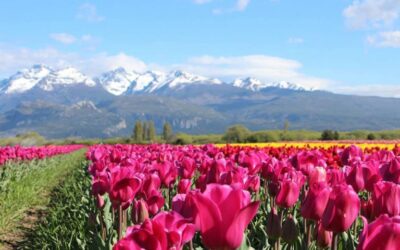 El mejor destino de la Patagonia para visitar en primavera