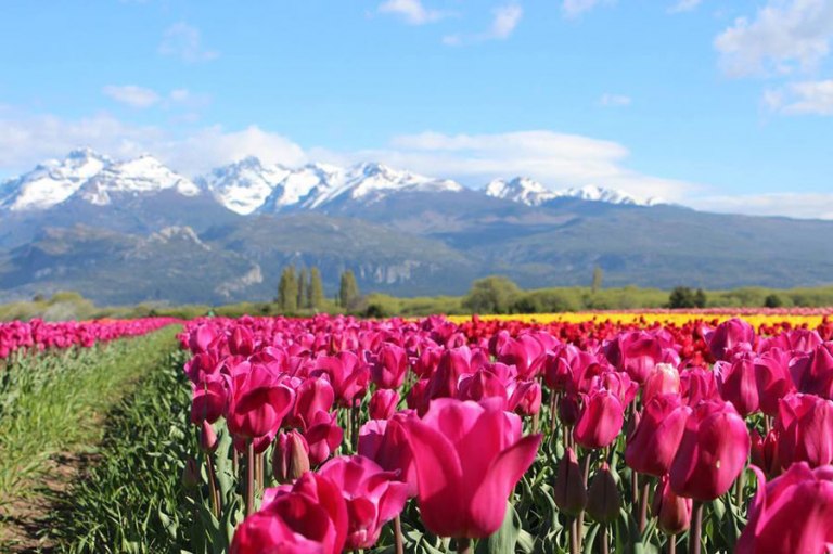 El mejor destino de la Patagonia para visitar en primavera