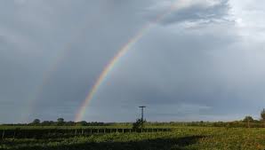 Ascenso térmico, con lluvias de variada intensidad