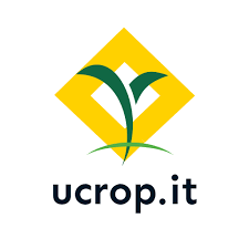 ucrop.it y Cotecna se unen para el monitoreo digital de maíz y su verificación