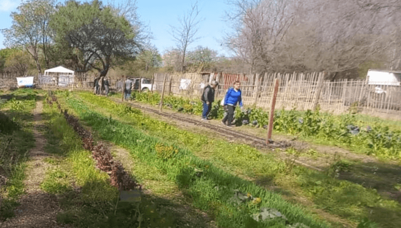 “La Huerta en tu hogar”: comienza la entrega de 45.000 kits de semillas