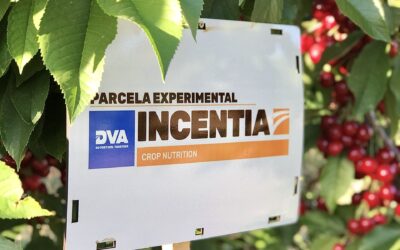 Crece el uso de insumos orgánicos en Argentina