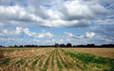 Informe de Perspectivas Agroclimáticas Semanal