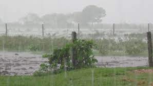 Prevén lluvias sobre el extremo norte del área agrícola del cono sur