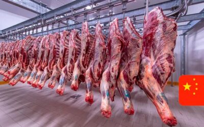 Las exportaciones del mes de marzo de 2024 alcanzaron un volumen cercano a las 64,4 mil toneladas peso producto de carne bovina refrigerada y congelada