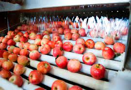 Inscripción de empaques y frigoríficos de frutas frescas en los programas de exportación