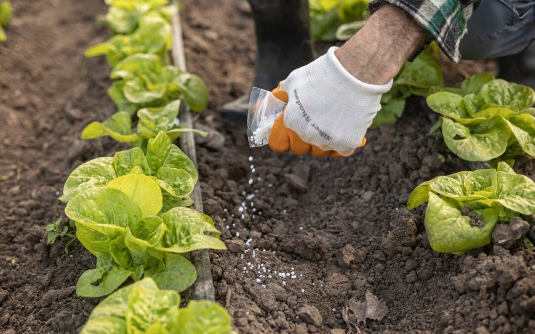 Los Fertilizantes, un recurso estratégico para la alimentación mundial y para la sostenibilidad del sistema productivo