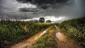 Los vientos polares continúan perturbando el accionar de El Niño