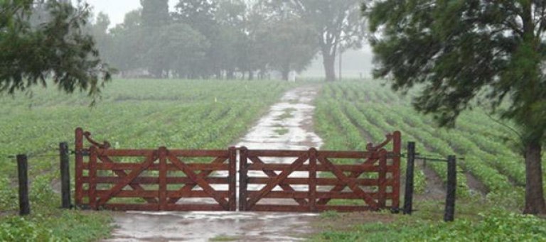 Siguen las lluvias y tormentas